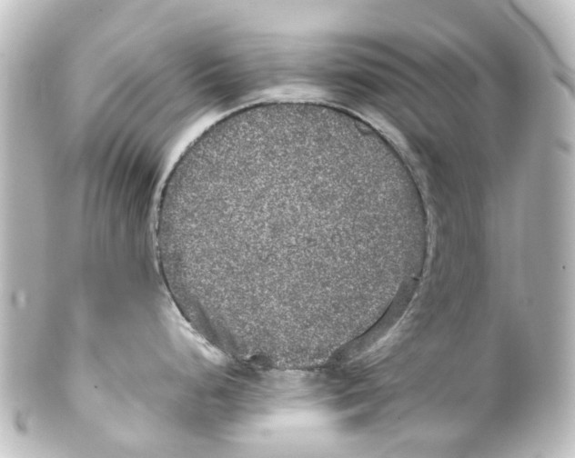 X0000100231248200806271743