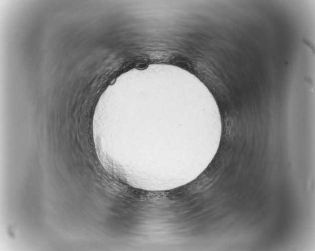 X0000100231249200806271742