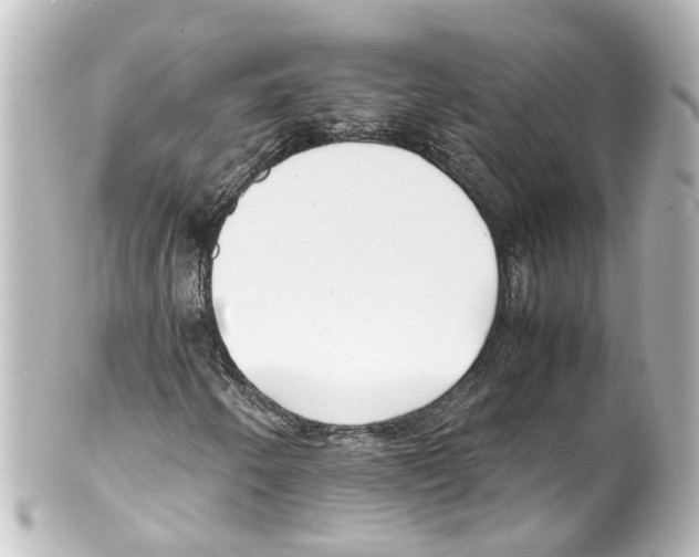 X0000100231250200806271742