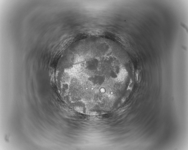 X0000100231251200806271742