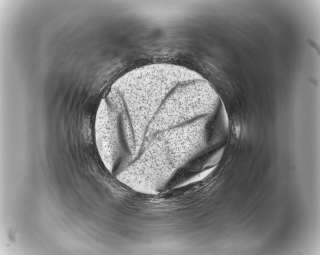 X0000100231252200806271742
