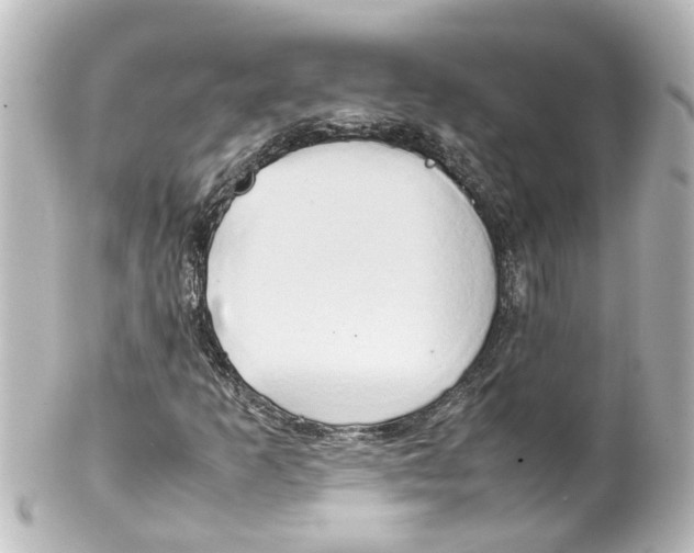 X0000100231253200806271742