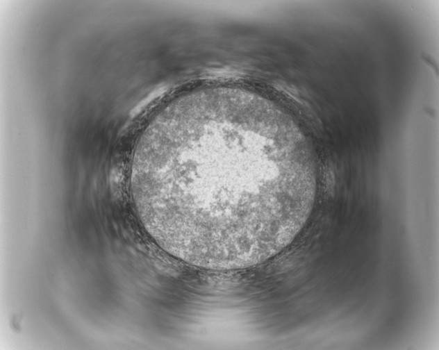 X0000100231254200806271742