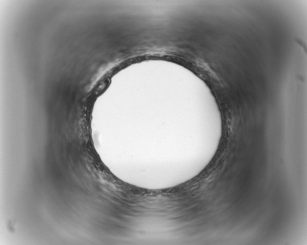 X0000100231256200806271742