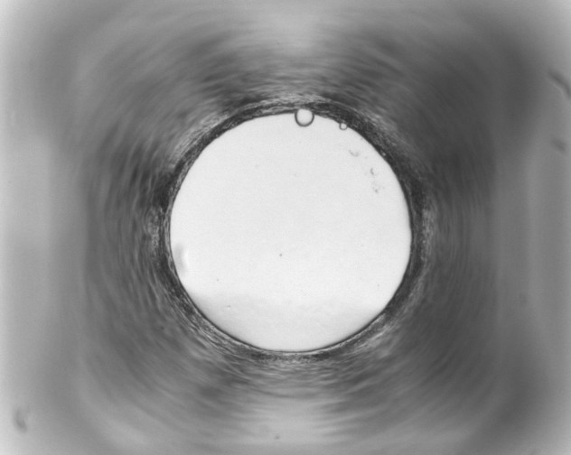 X0000100231257200806271742