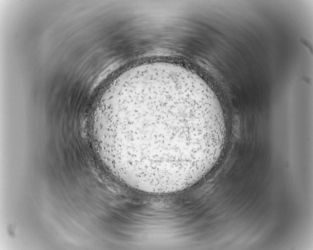 X0000100231258200806271742