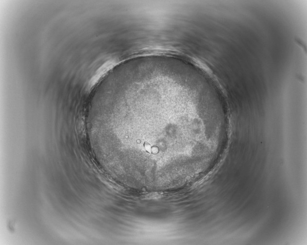 X0000100231259200806271742
