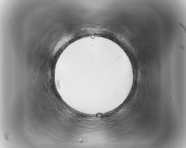 X0000100231261200806271742