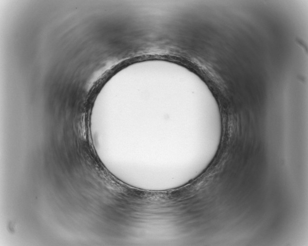 X0000100231262200806271742