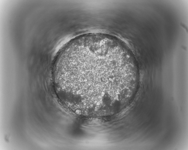 X0000100231263200806271742