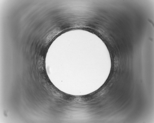 X0000100231265200806271742