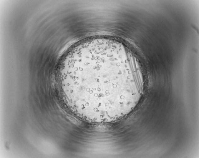 X0000100231266200806271742