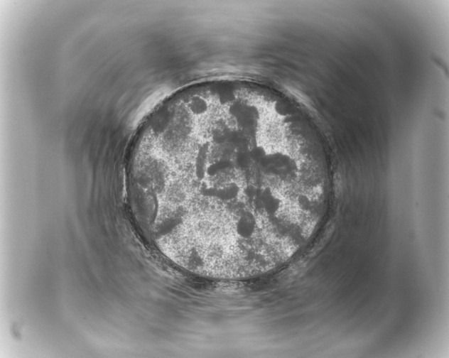 X0000100231267200806271742