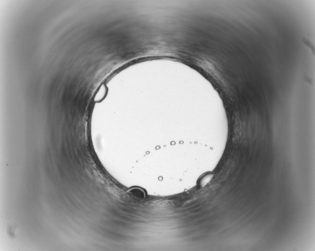 X0000100231268200806271742