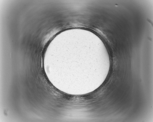 X0000100231269200806271742