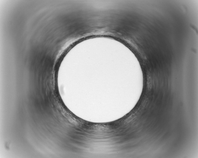 X0000100231270200806271742