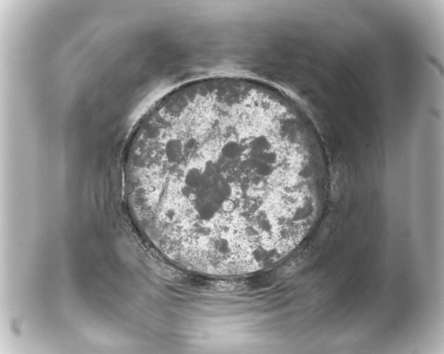 X0000100231271200806271742