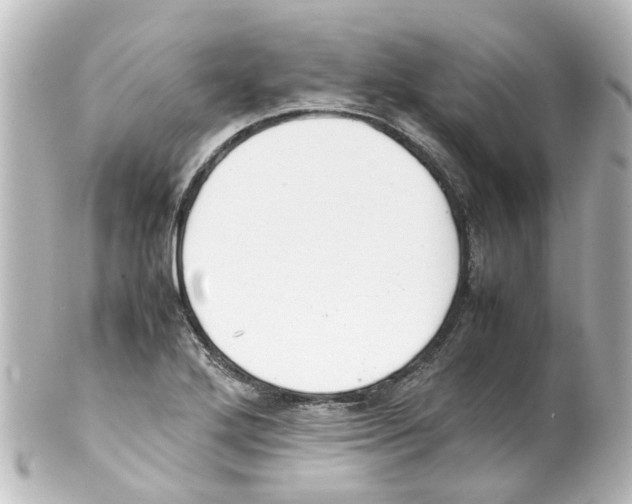 X0000100231272200806271742