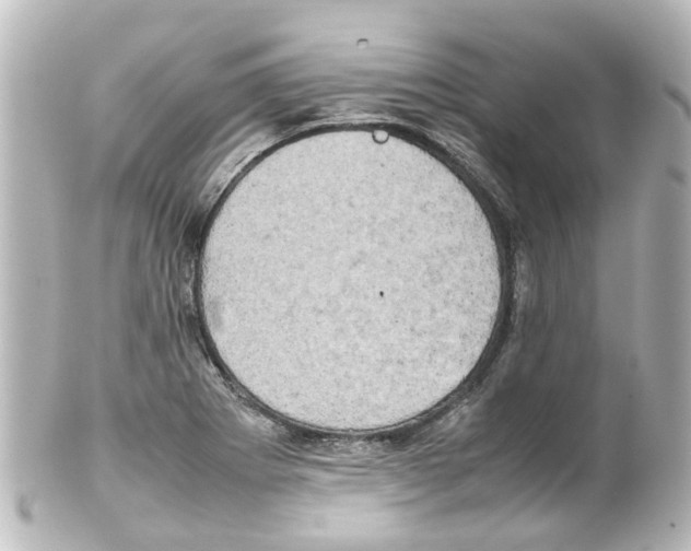 X0000100231273200806271742