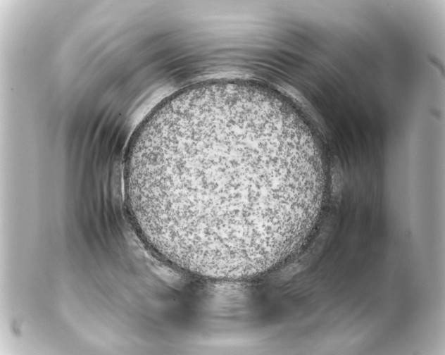 X0000100231274200806271742