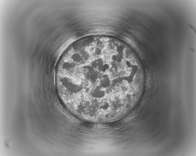 X0000100231275200806271741