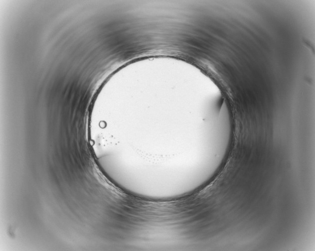 X0000100231276200806271741