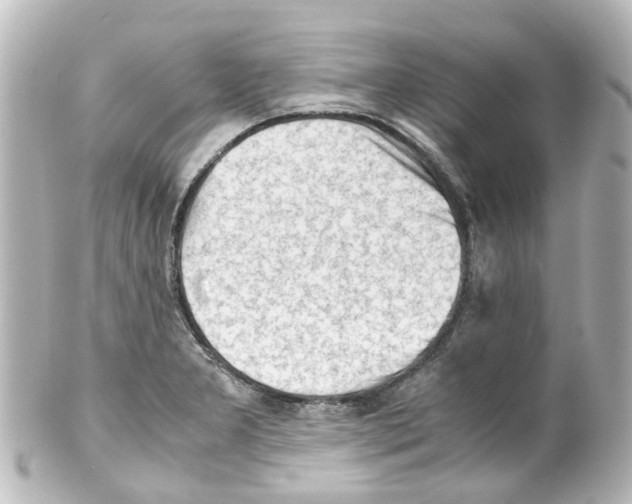 X0000100231277200806271741