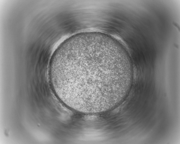 X0000100231278200806271741