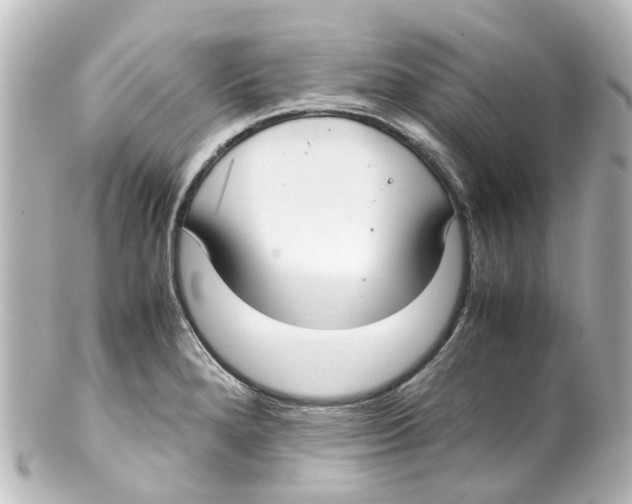 X0000100231280200806271741