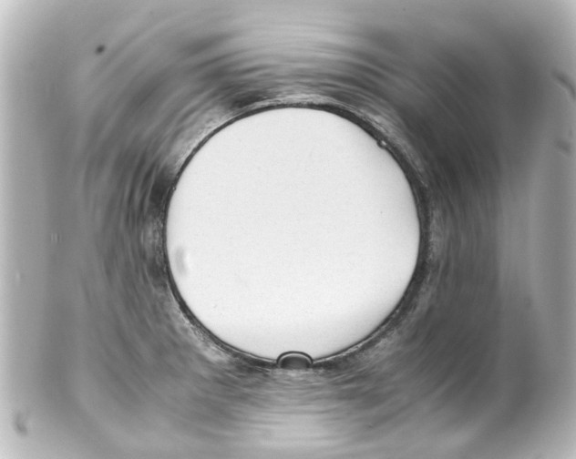 X0000100231281200806271741