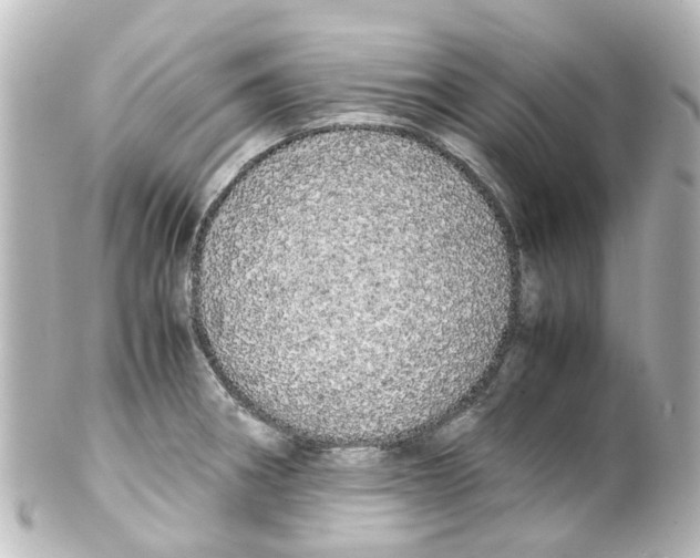 X0000100231282200806271741