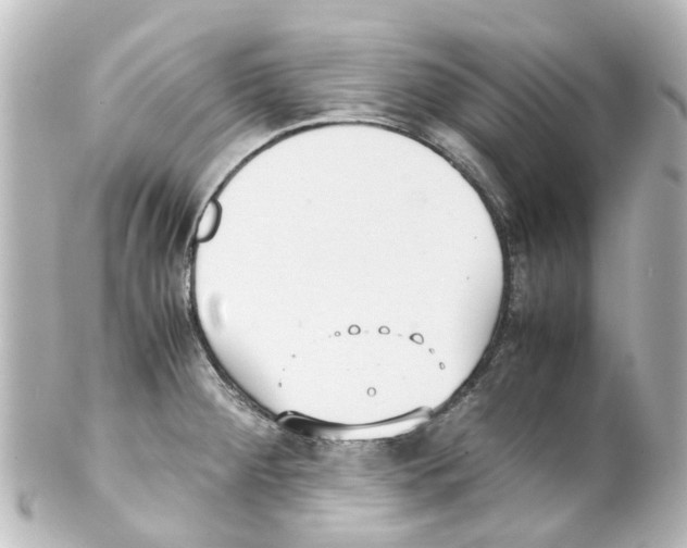 X0000100231284200806271741