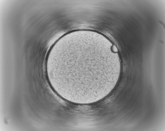 X0000100231285200806271741
