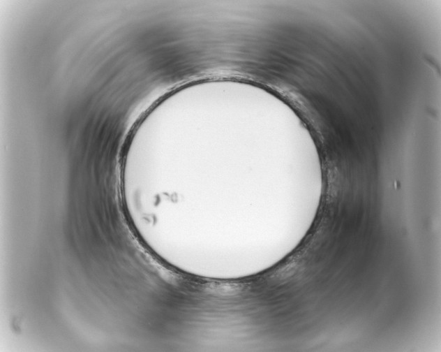 X0000100231286200806271741