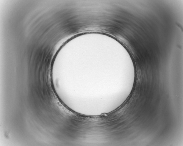X0000100231288200806271741