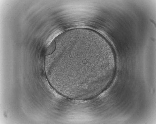 X0000100231289200806271741
