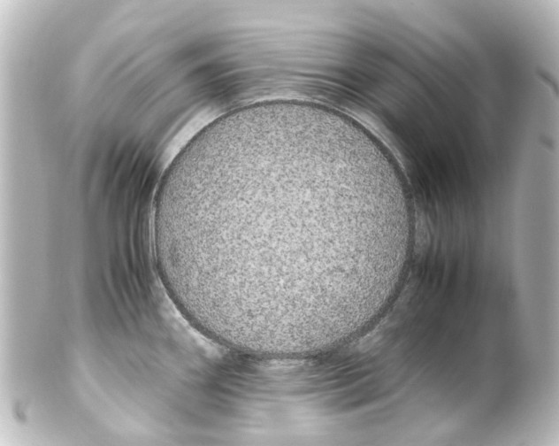 X0000100231290200806271741