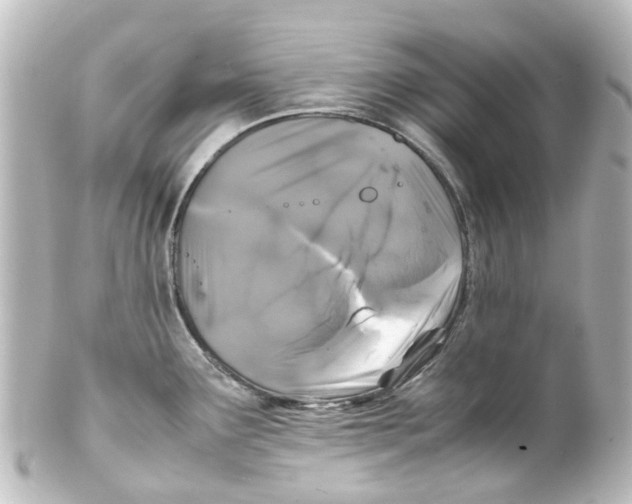 X0000100231291200806271741