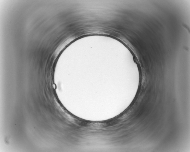 X0000100231293200806271741