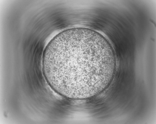 X0000100231294200806271741