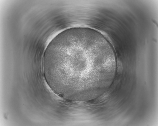 X0000100231295200806271741