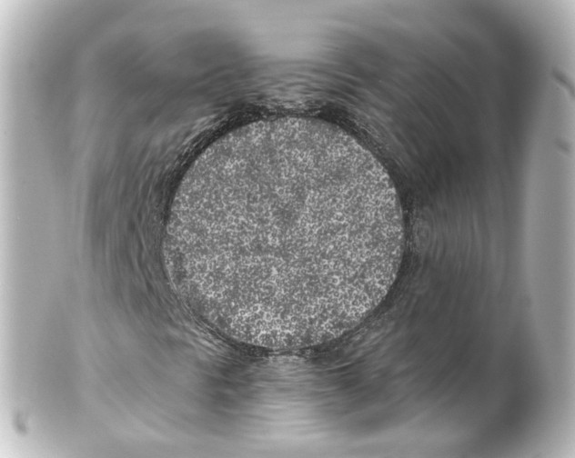 X0000100231297200806271741