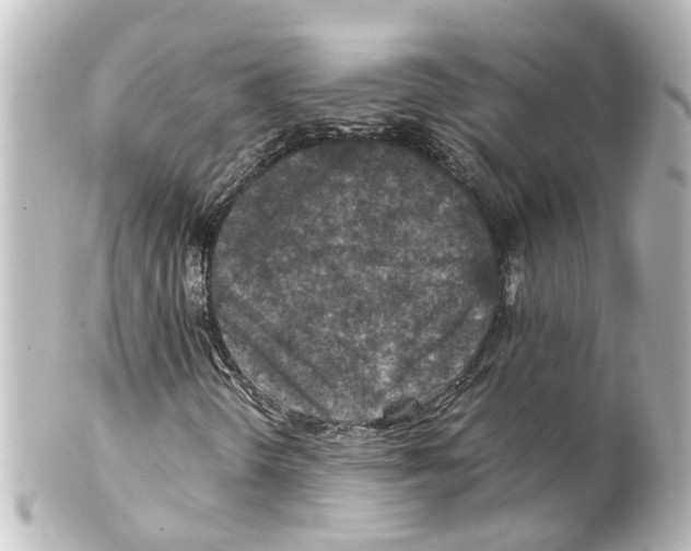X0000100231298200806271741