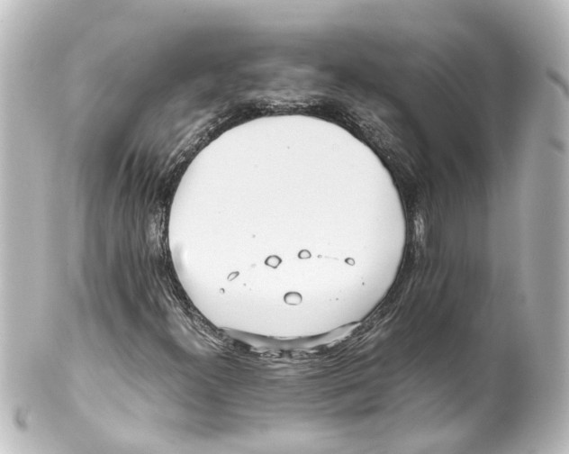 X0000100231300200806271741