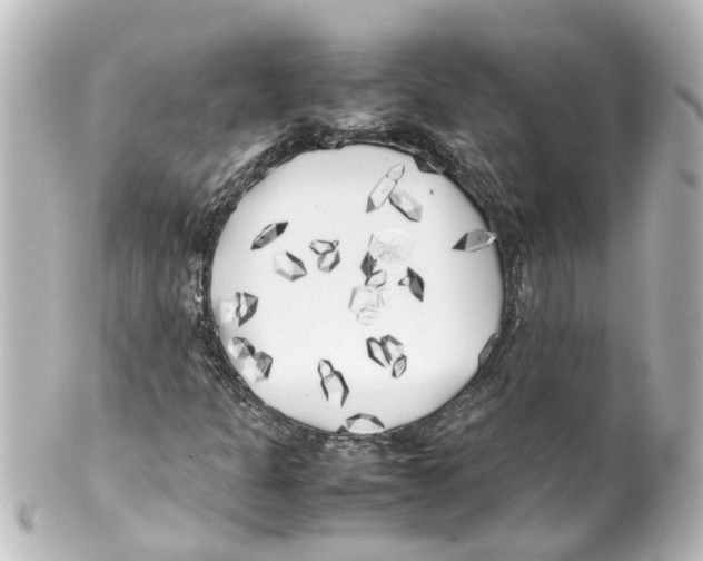 X0000100231301200806271741