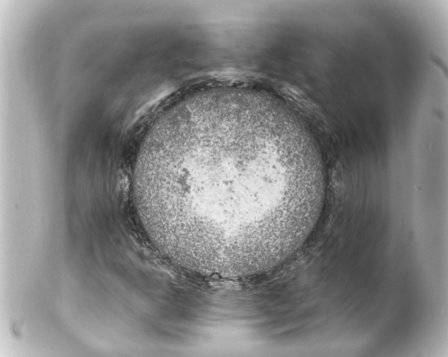 X0000100231302200806271741