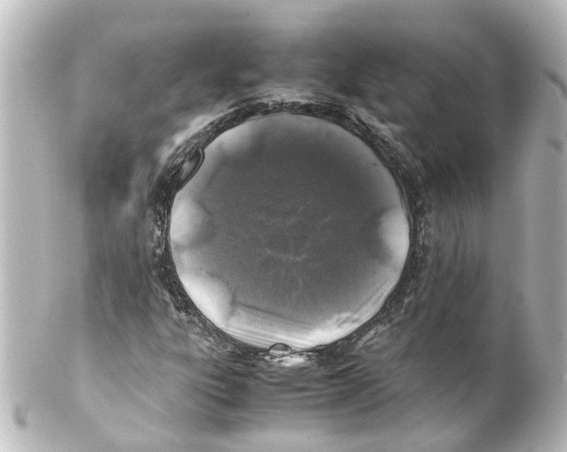 X0000100231303200806271741