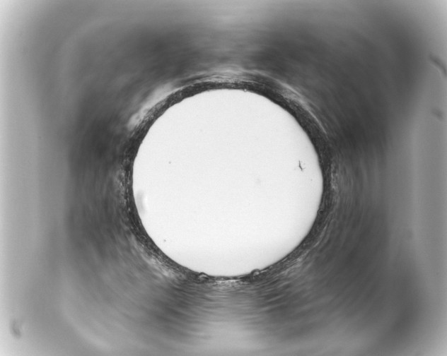 X0000100231304200806271741
