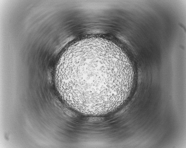 X0000100231305200806271741