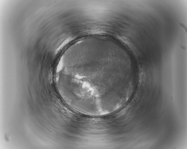 X0000100231306200806271741